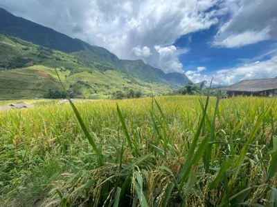 Black Hmong Sapa Homestay Family – Photos 2