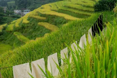Black Hmong Sapa Homestay Family – Photos 10