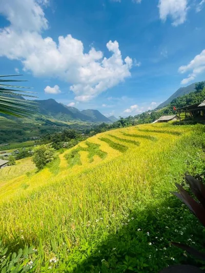 Black Hmong Sapa Homestay Family – Photos 11